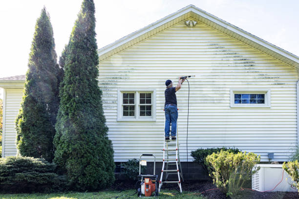 Best Graffiti Removal Services in Grandview, IL